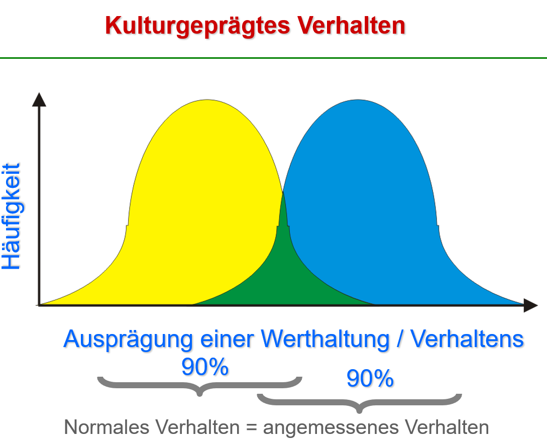 Kulturstandards im Vergleich